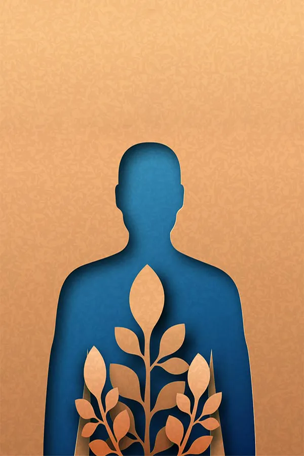 Functional-Medicine-Treatment A human body shape cut out of cardboard with blue paper underneath and cardboard leaves on top, symbolizing functional medicine treatment from Brandi Terra, NP at Oak & Stone Wellness in East San Diego.